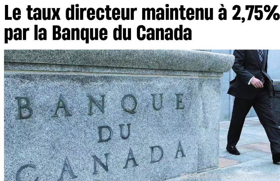 3.jpeg
