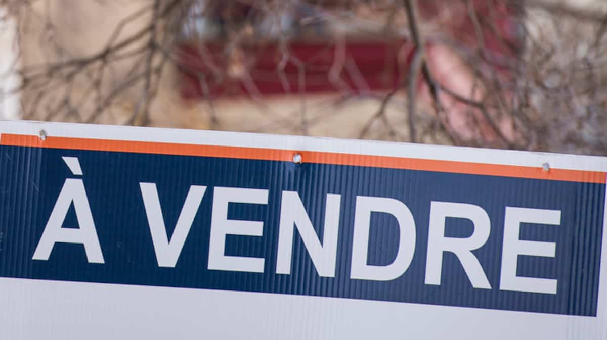 一块蓝橙两色的「À VENDRE」售楼牌，背景是光秃的树枝